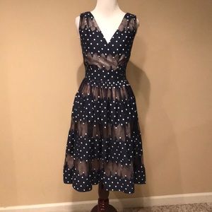 Maggy London Navy Blue Polka Dot Fit-and-Flare Dress
